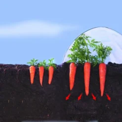 Kweekfolie / Tunnelfolie - 2 × 10 M 5 Kweekfolie / Tunnelfolie - 2 × 10 M -Tuinartikelen Verkoopwinkel 1534088192 2 600