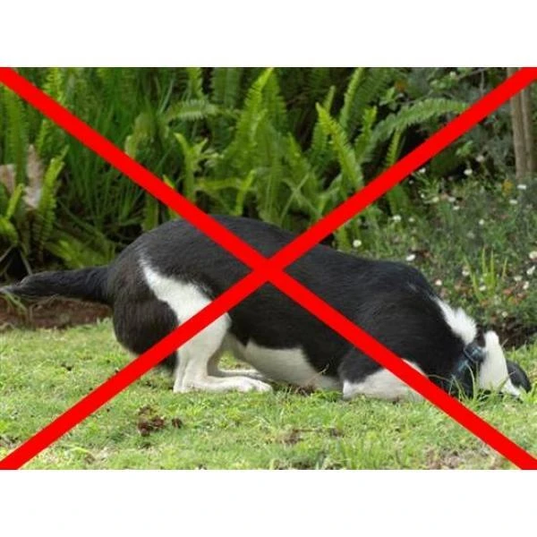 Anti-graafraster - 200 × 30 Cm 1 Anti-graafraster - 200 × 30 Cm