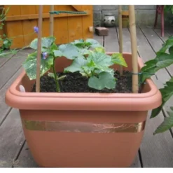 Anti-slakken Kopertape 4 M -Tuinartikelen Verkoopwinkel antislakken kopertape 1484052941 3 600