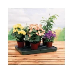 Bewateringstray + Vloeidoek 57 × 39 × 5 Cm 7 Bewateringstray + Vloeidoek 57 × 39 × 5 Cm -Tuinartikelen Verkoopwinkel bewateringstray vloeidoek 1490112681 1 600