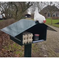Nieuwsgierige Kip Tuinbeeld -Tuinartikelen Verkoopwinkel nieuwsgierige kip 1609930328 1 600