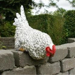 Nieuwsgierige Kip Tuinbeeld -Tuinartikelen Verkoopwinkel nieuwsgierige tafelkip 1568377839 3 600