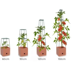 Plantentoren Maxitom Met Waterreservoir - Terracotta -Tuinartikelen Verkoopwinkel plantentoren maxitom terracotta 1680165024 1 600