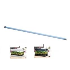 TL Lamp - 55 Cm Groeilicht - 24 Watt - Set Van 1 Stuks