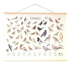 Wanddoek Tuinvogels