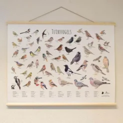 Wanddoek Tuinvogels -Tuinartikelen Verkoopwinkel wandkaart tuinvogels 1541600712 1 600